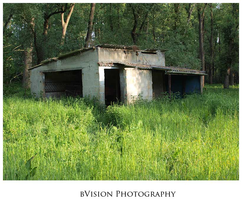 bVision Photography