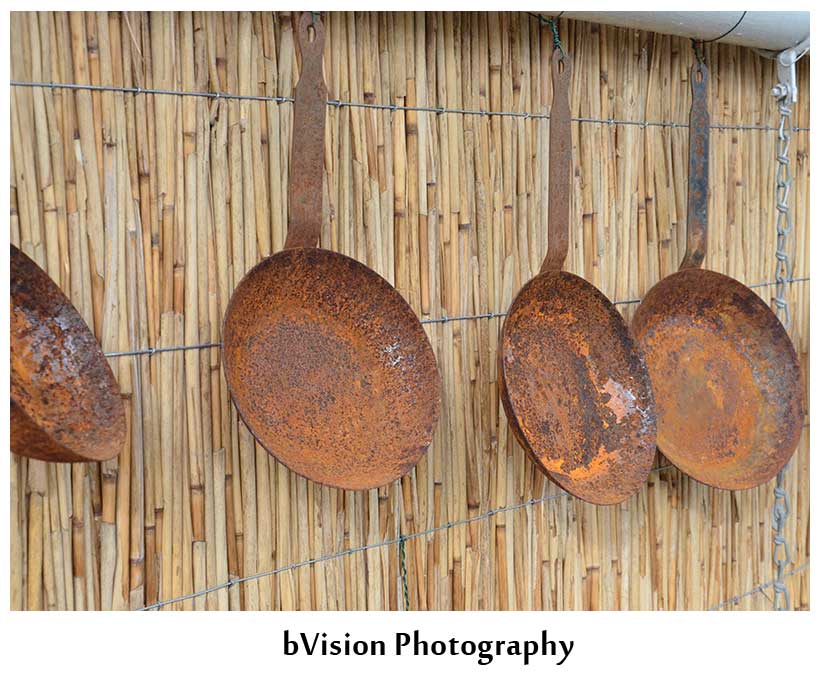 bVision Photography