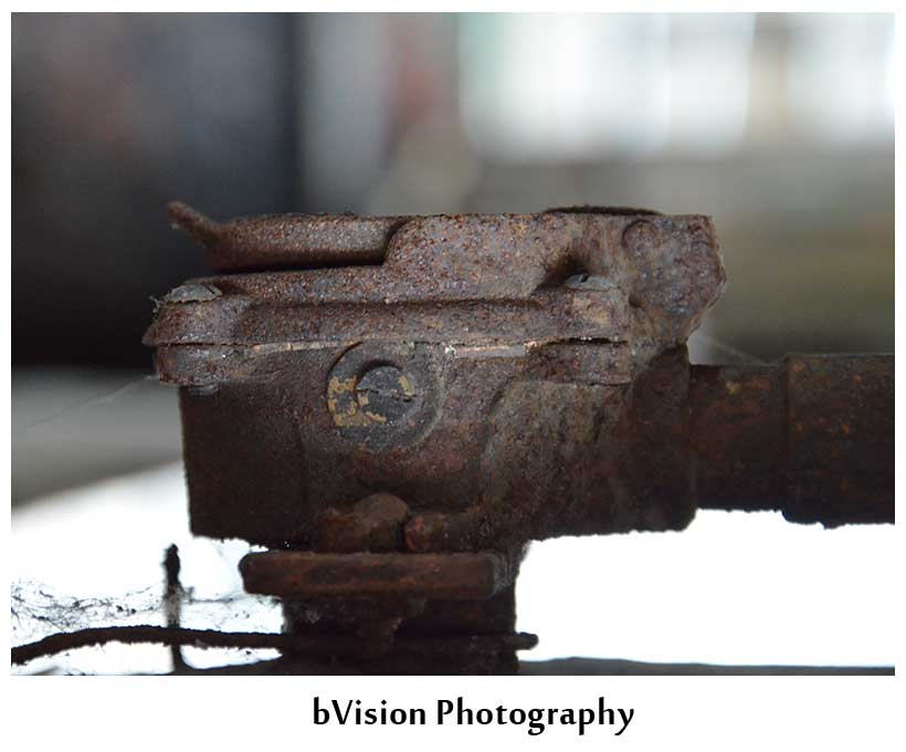 bVision Photography