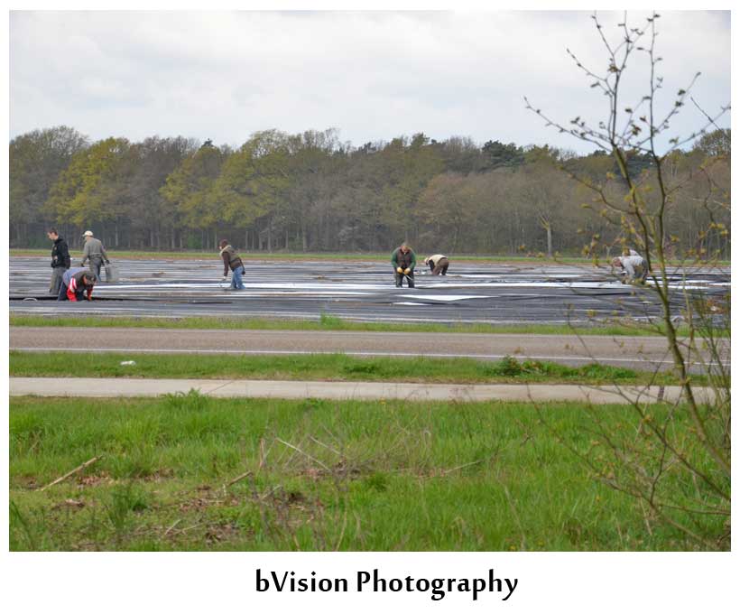 bVision Photography