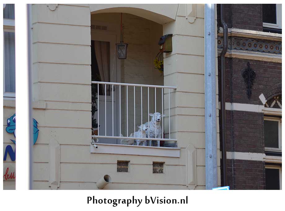 bVision Photography