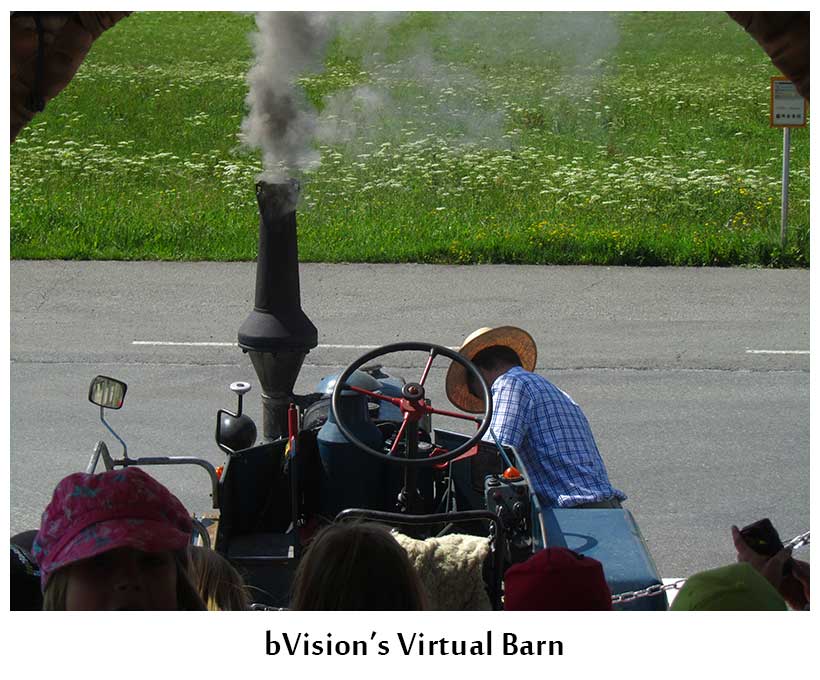 bVision Photography