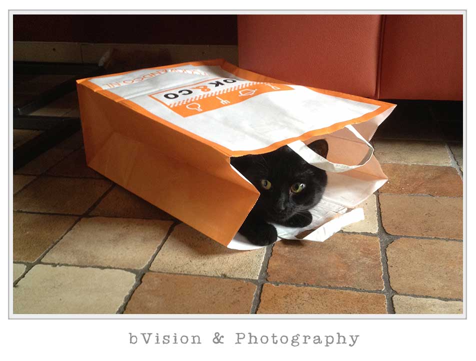 bVision Photography