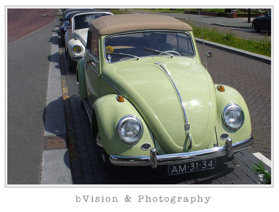 bVision Photography
