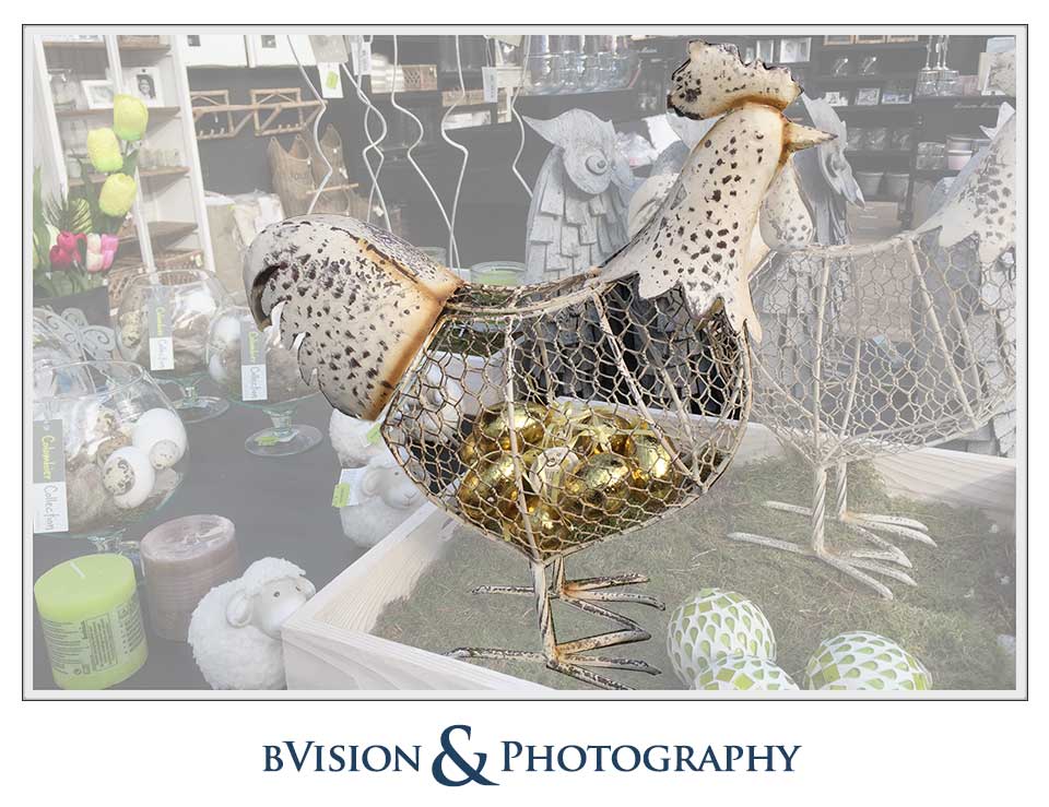 bVision & Photography