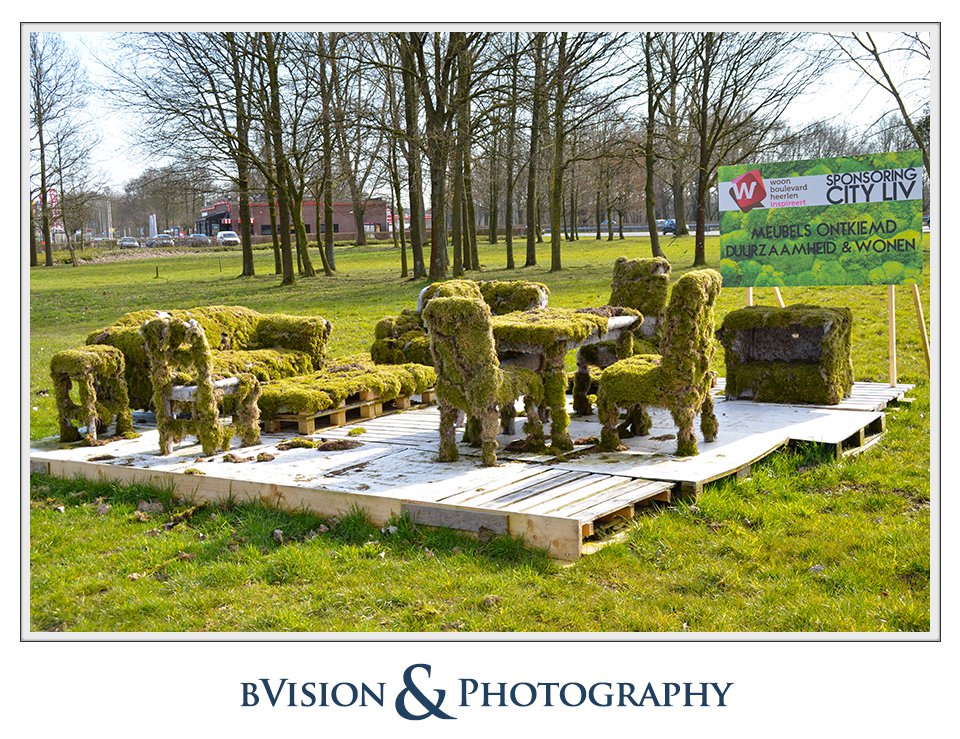 bVision & Photography