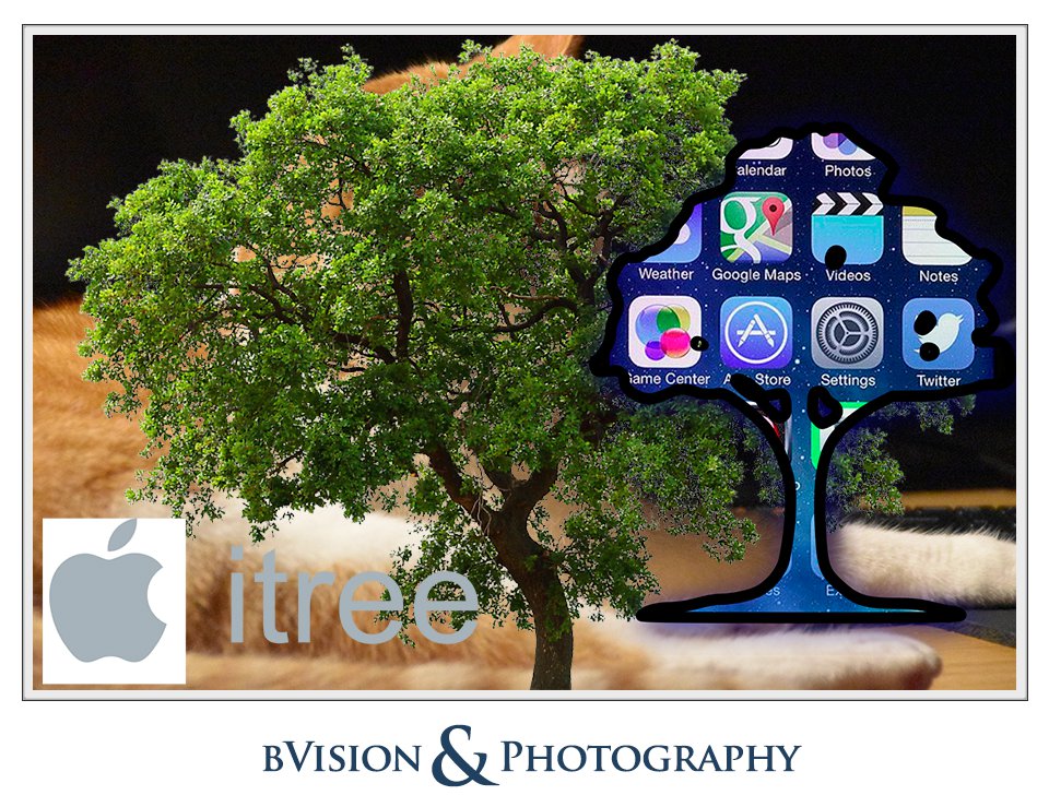 bVision & Photography