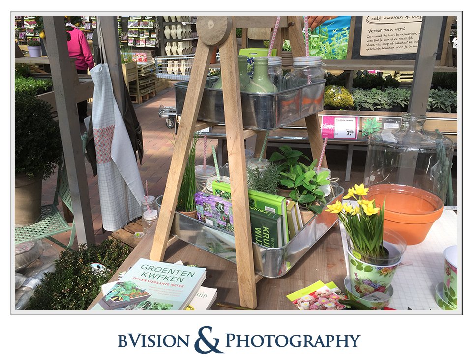 bVision & Photography