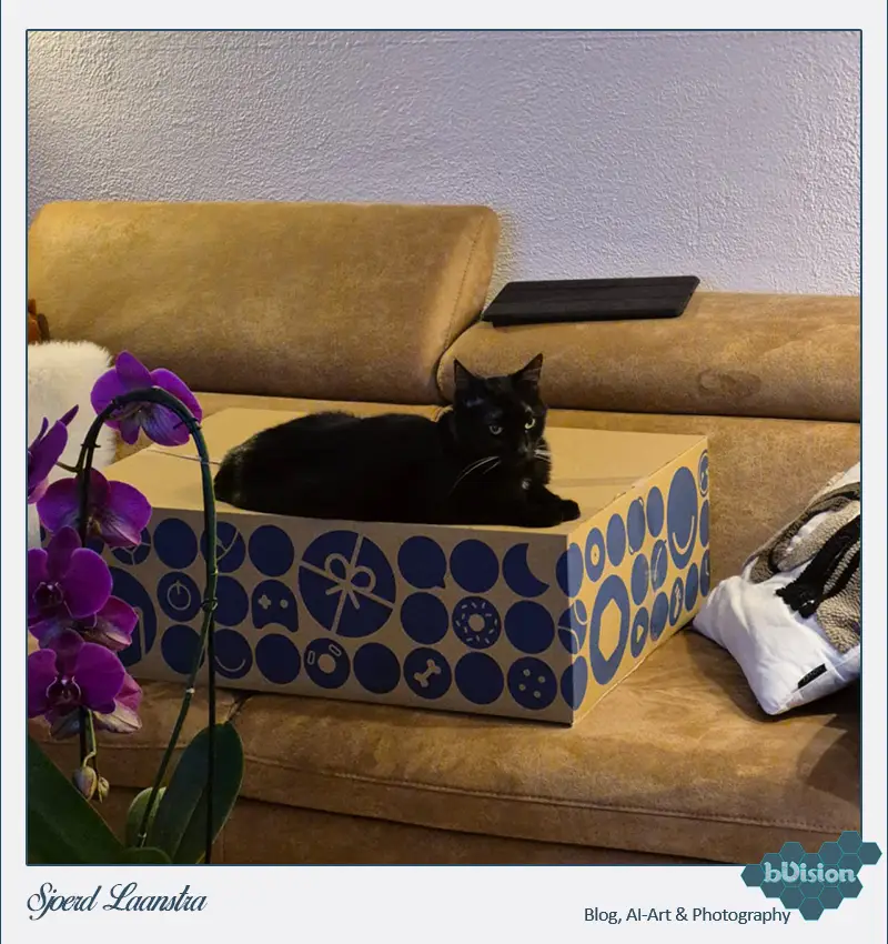 bVision & Photography