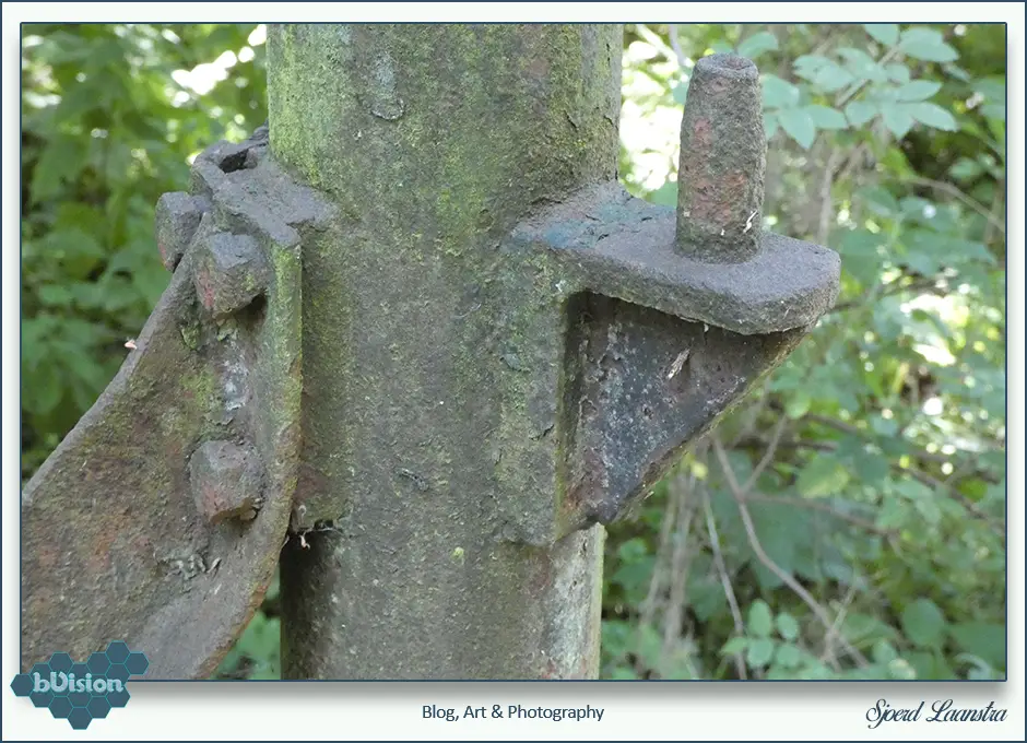 bVision & Photography