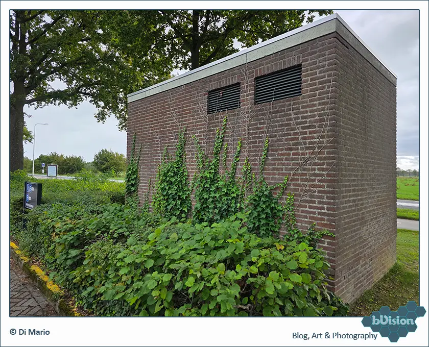 bVision & Photography