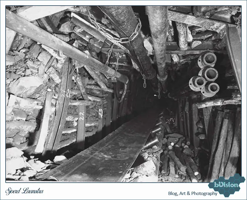 bVision & Photography