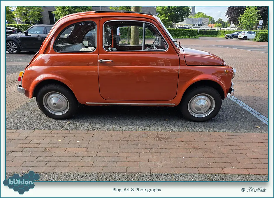 bVision & Photography