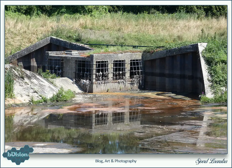 bVision & Photography