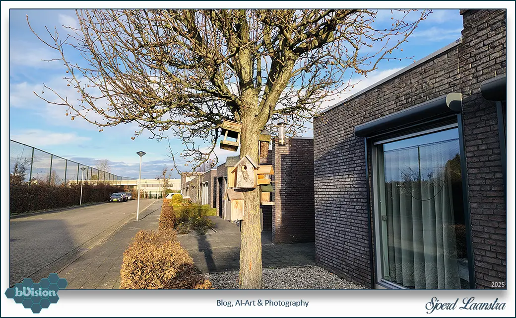 bVision & Photography