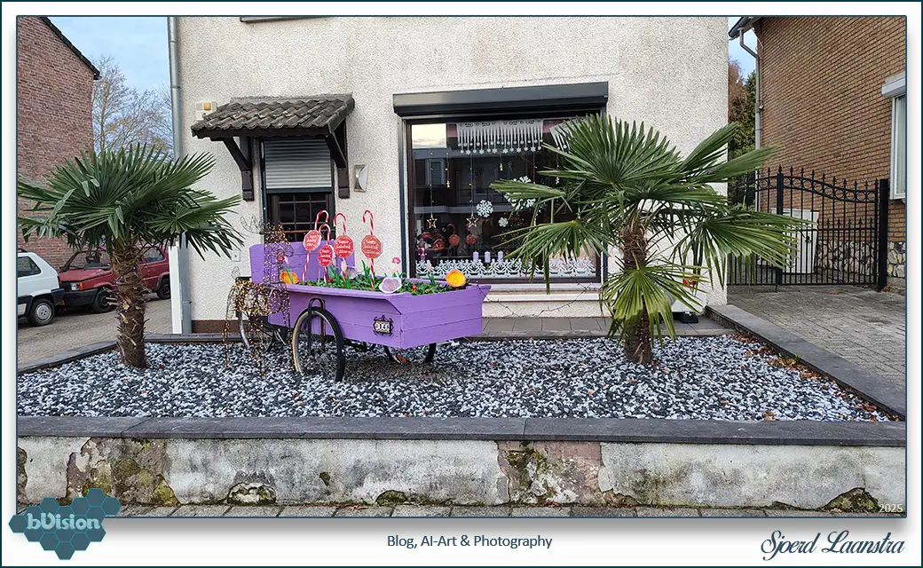 bVision & Photography