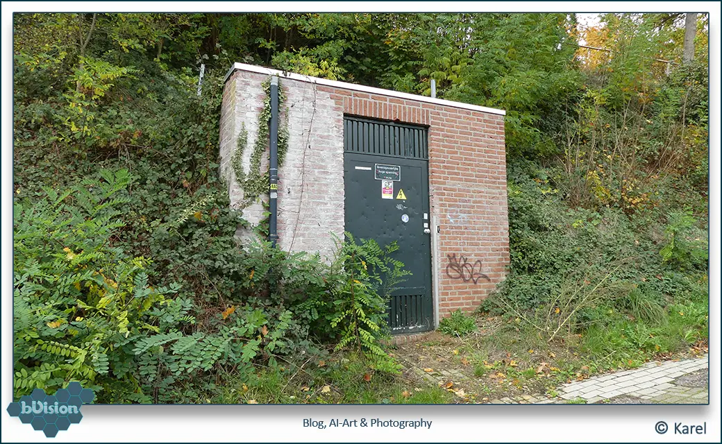 bVision & Photography