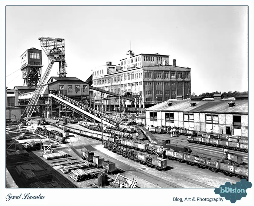 bVision & Photography