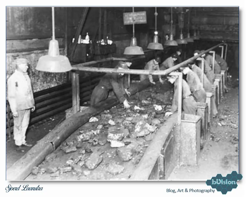 bVision & Photography