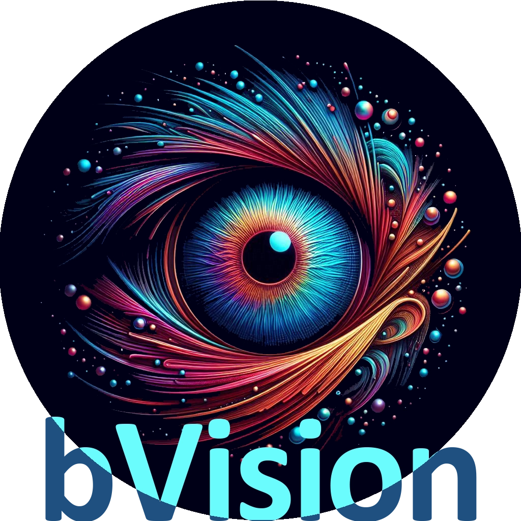 bVision Photography